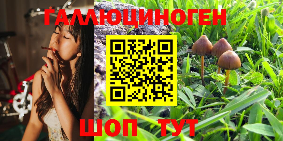 Галлюциногенные грибы MAGIC MUSHROOMS Арсеньев